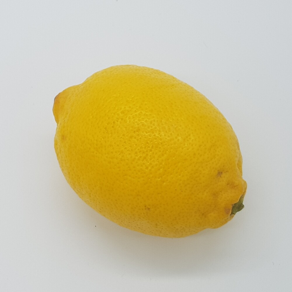 000000000000410.jpg